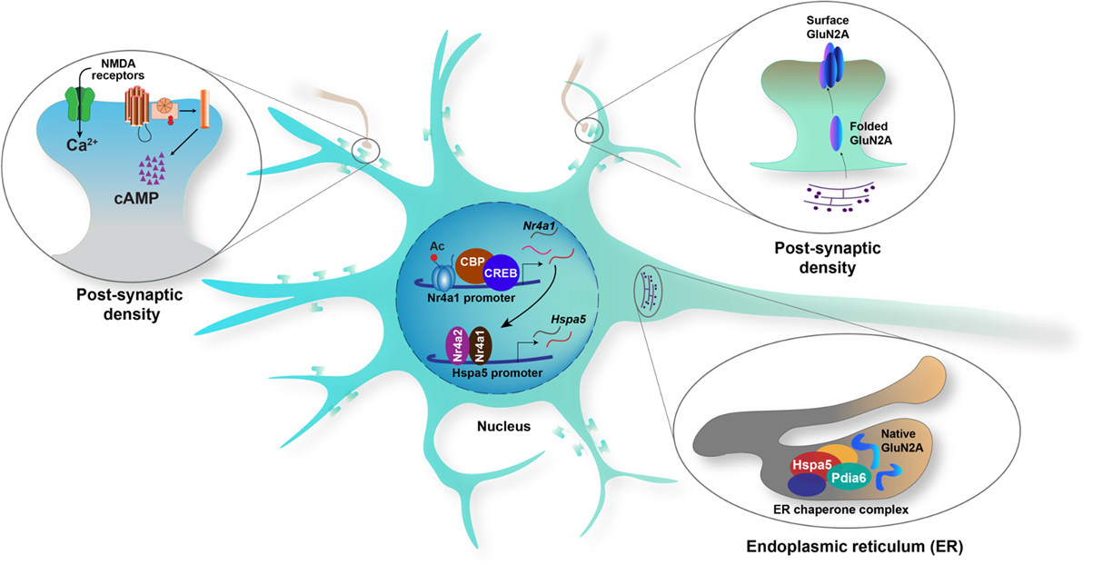 Epigenetic Research Picture