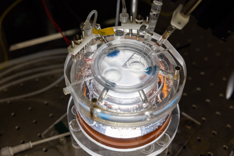 lab exp5